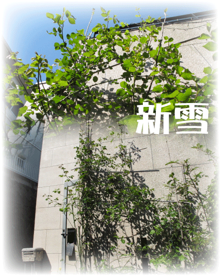 f:id:rotling:20100425133154g:image