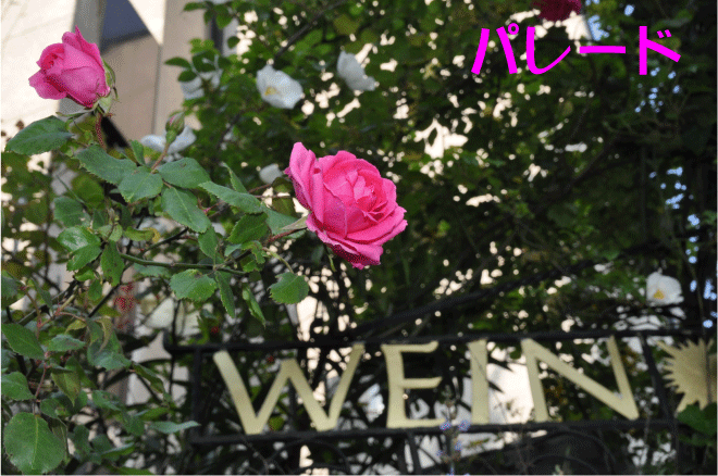 f:id:rotling:20100508094025g:image