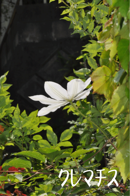 f:id:rotling:20100512121229g:image