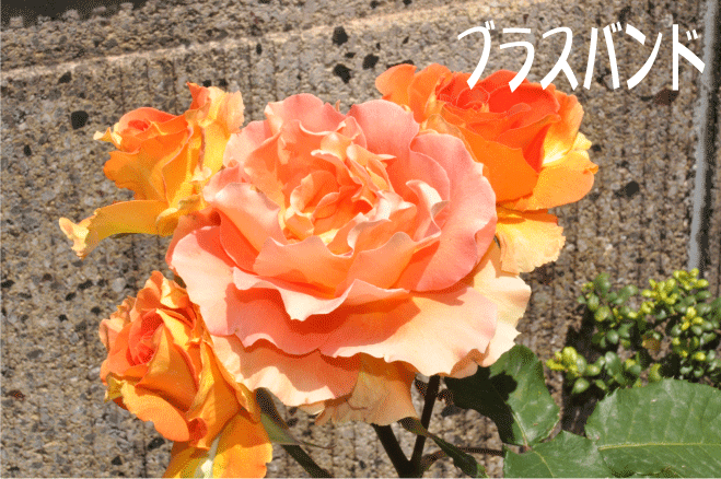 20100517121347
