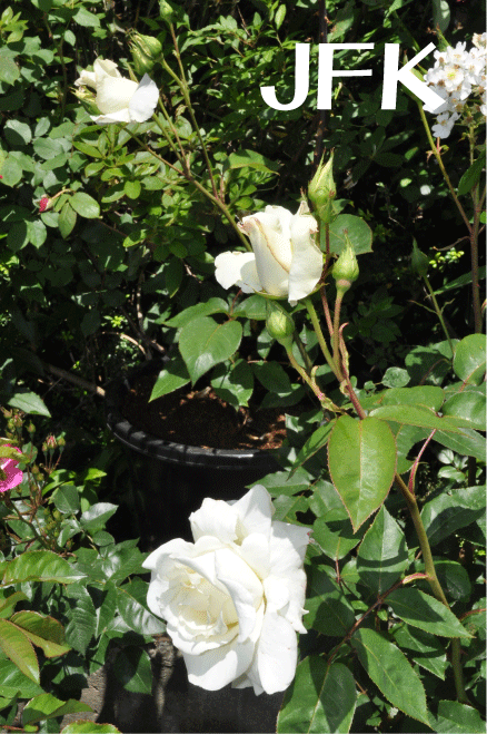20100517121350