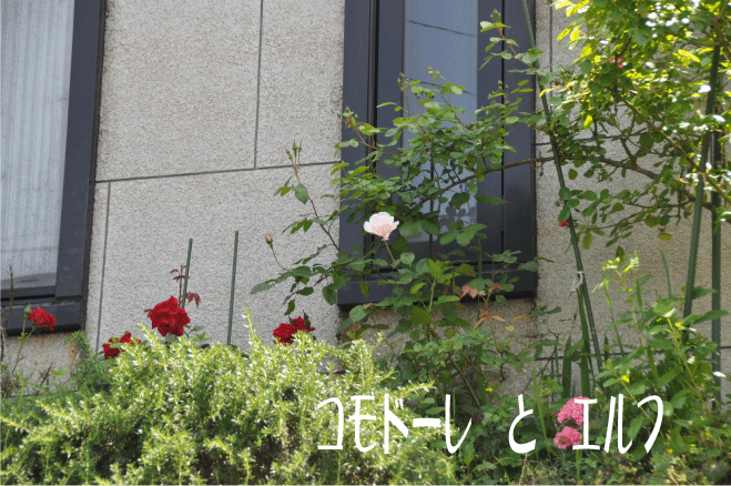 f:id:rotling:20100517202449g:image