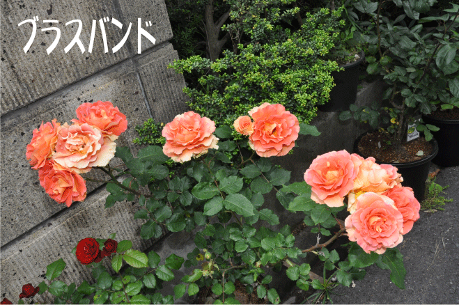 f:id:rotling:20100522170846g:image