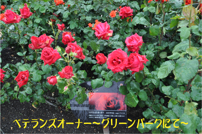 20100524022246