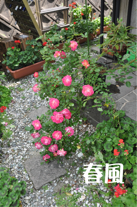 春風