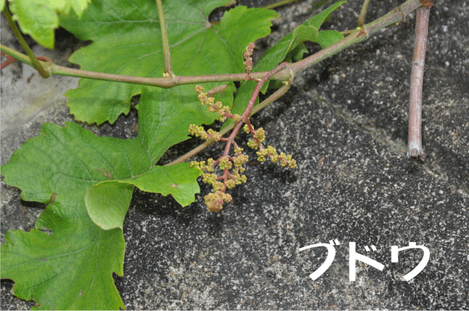 20100527153839