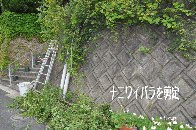 20100527153849