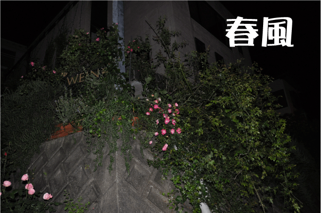20100527214059