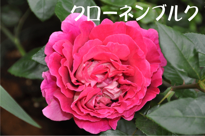 20100528173218