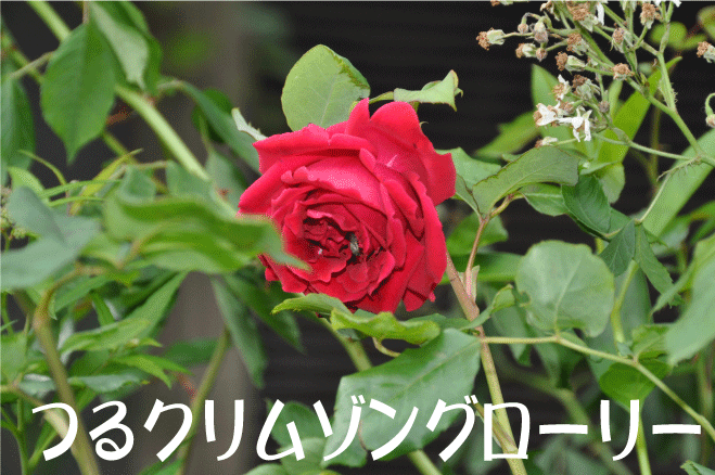 20100528180846