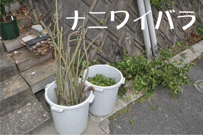 f:id:rotling:20100528232551g:image