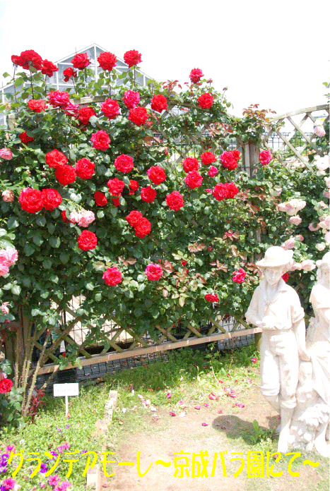 f:id:rotling:20100603082545g:image