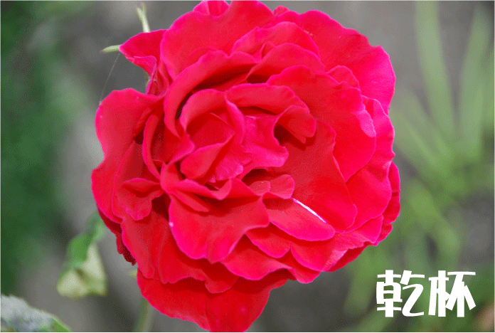 20100604234255