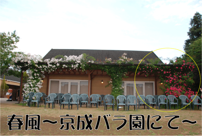 f:id:rotling:20100608092758g:image