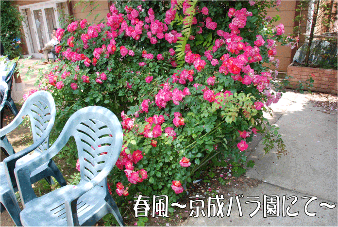 f:id:rotling:20100608092802g:image