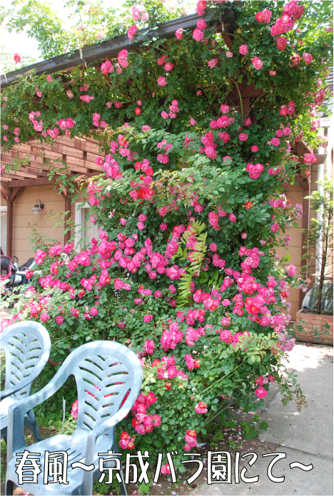 f:id:rotling:20100608092803g:image