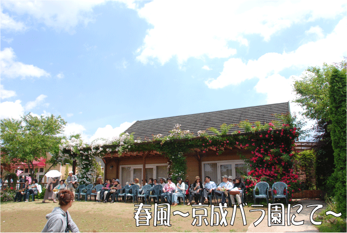 f:id:rotling:20100608092804g:image