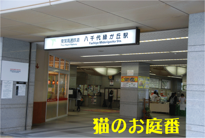f:id:rotling:20100610155542g:image