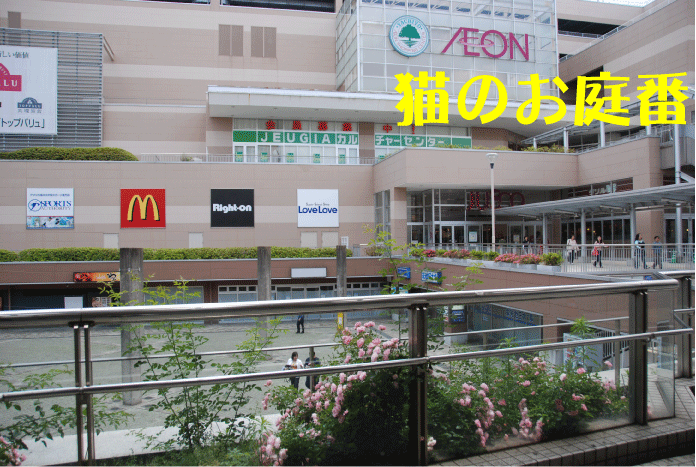 f:id:rotling:20100610155544g:image