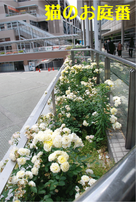 f:id:rotling:20100610155547g:image