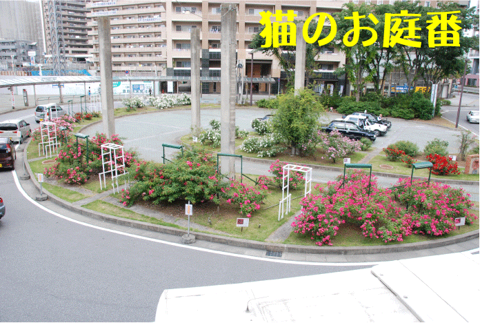 f:id:rotling:20100610155548g:image