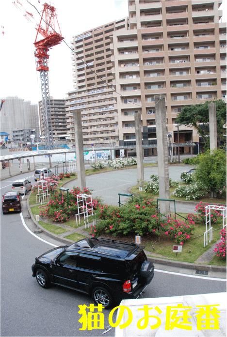 f:id:rotling:20100610155549g:image