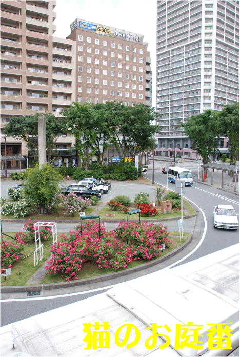 f:id:rotling:20100610155550g:image