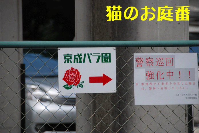 f:id:rotling:20100610155551g:image