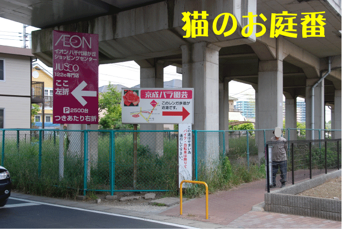 f:id:rotling:20100610155552g:image