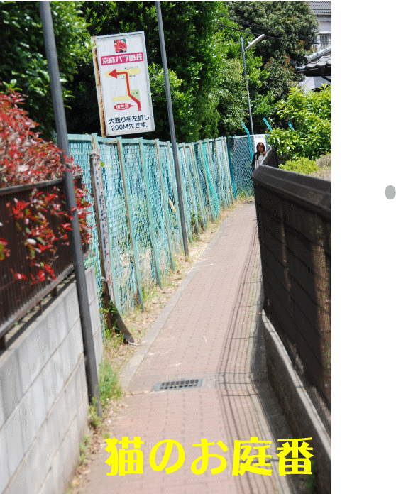 f:id:rotling:20100610155553g:image