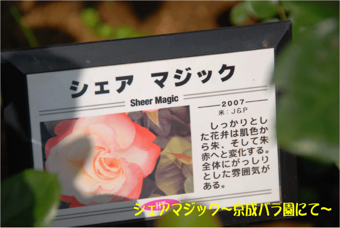 f:id:rotling:20100612115329g:image