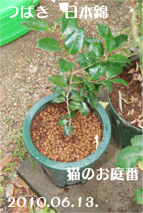 f:id:rotling:20100613122733g:image