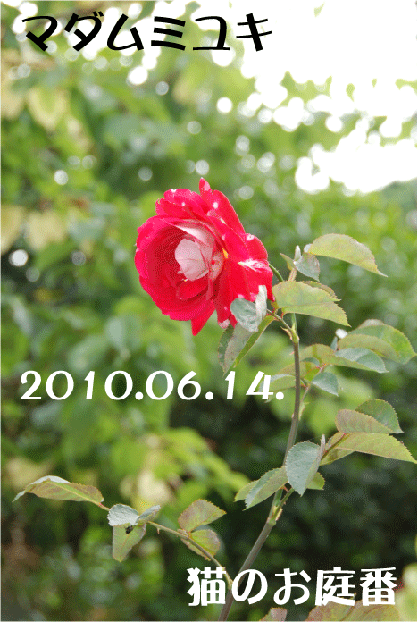 f:id:rotling:20100614090740g:image