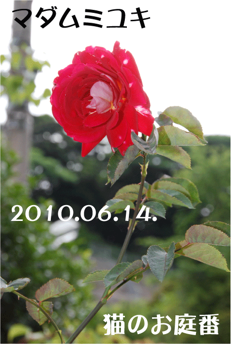 f:id:rotling:20100614090741g:image