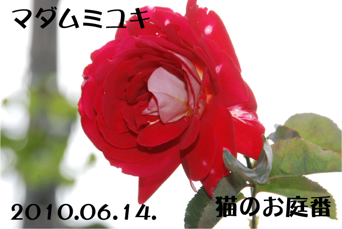 f:id:rotling:20100614090742g:image