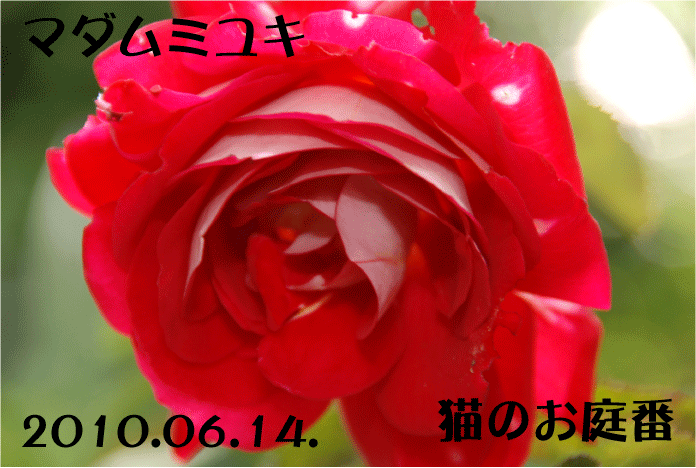 f:id:rotling:20100614090744g:image