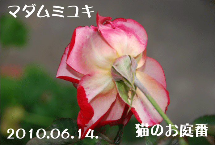 f:id:rotling:20100614090745g:image