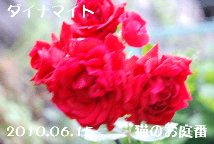 f:id:rotling:20100616201933g:image