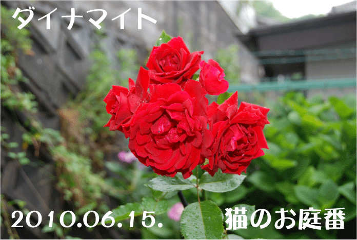 f:id:rotling:20100616201935g:image