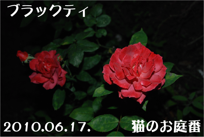 f:id:rotling:20100617231249g:image