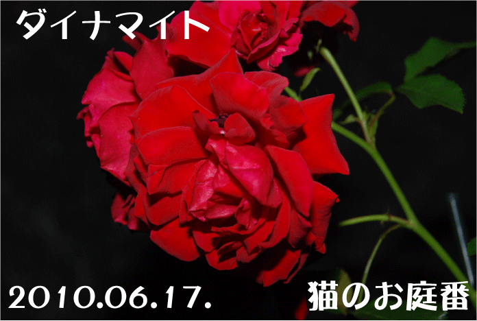 f:id:rotling:20100617231253g:image