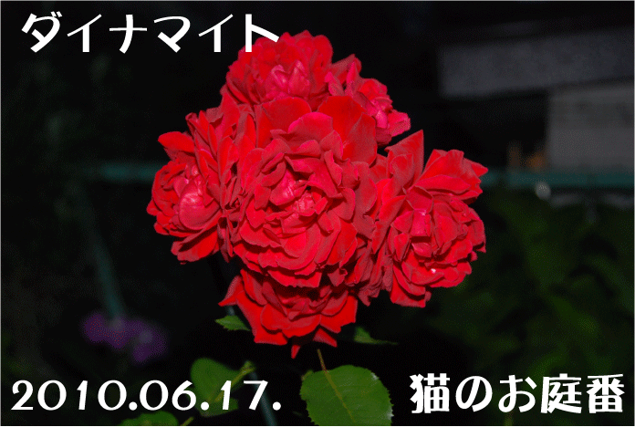 f:id:rotling:20100617231255g:image