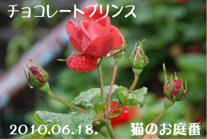 f:id:rotling:20100618192744g:image