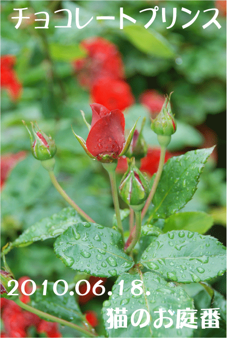 f:id:rotling:20100618192745g:image