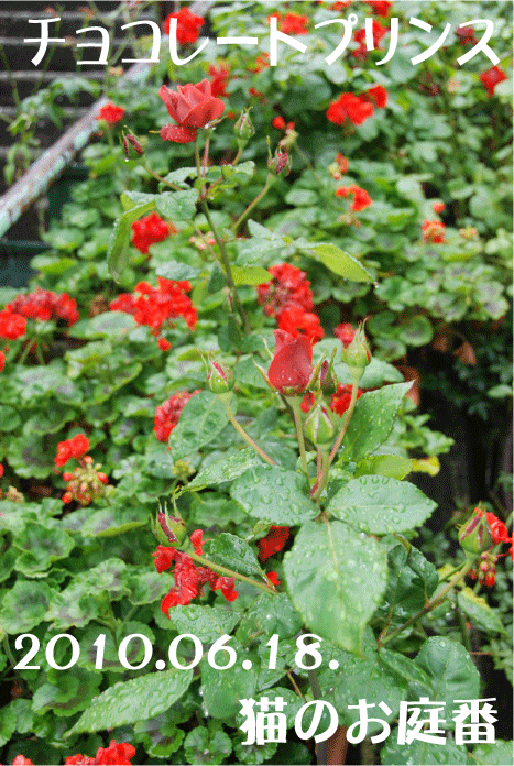 f:id:rotling:20100618192746g:image