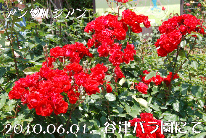 f:id:rotling:20100623143539g:image