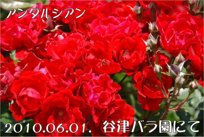 f:id:rotling:20100623143540g:image