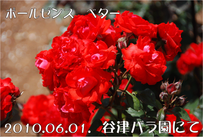 f:id:rotling:20100625022807g:image