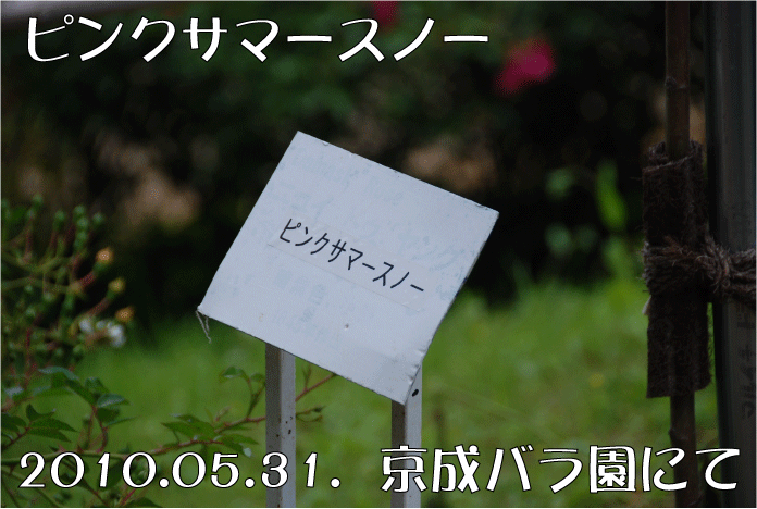 f:id:rotling:20100628131416g:image