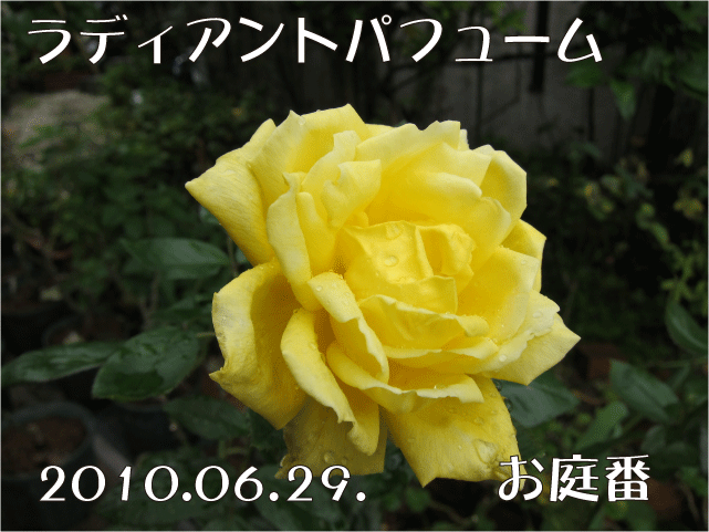 f:id:rotling:20100629185250g:image